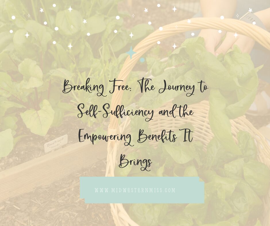 Breaking Free: The Journey to Self-Sufficiency and the Empowering Benefits It Brings