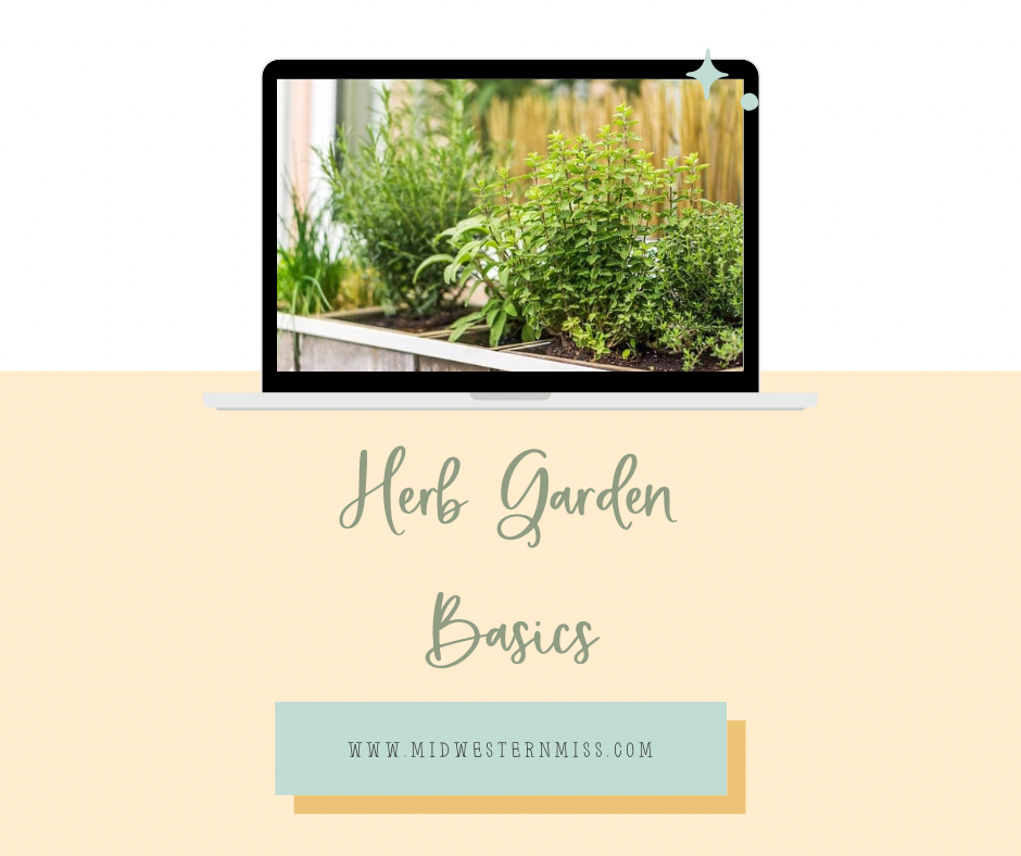 Herb Garden Basics