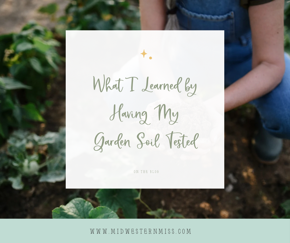 What I Learned by Having My Garden Soil Tested