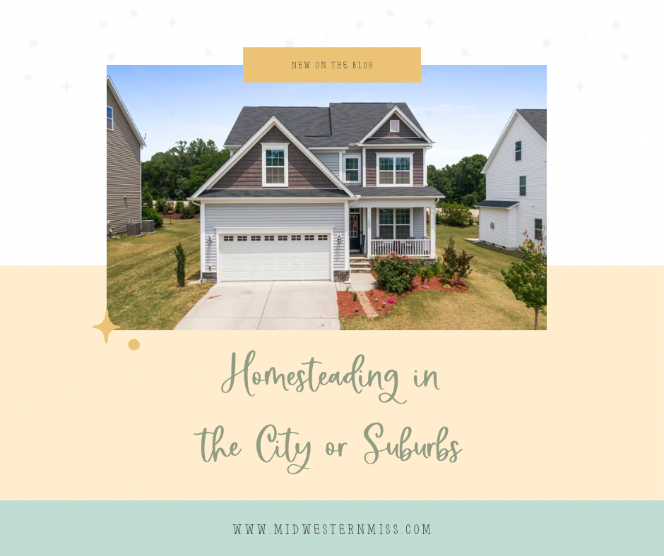 Homesteading in the city or suburbs