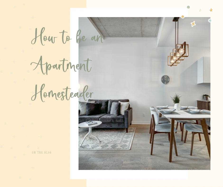 How to be an Apartment Homesteader