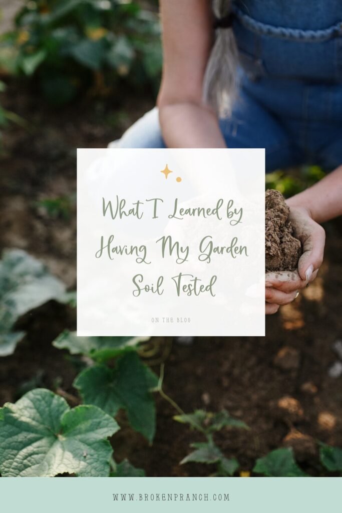 What I Learned by Having My Garden Soil Tested