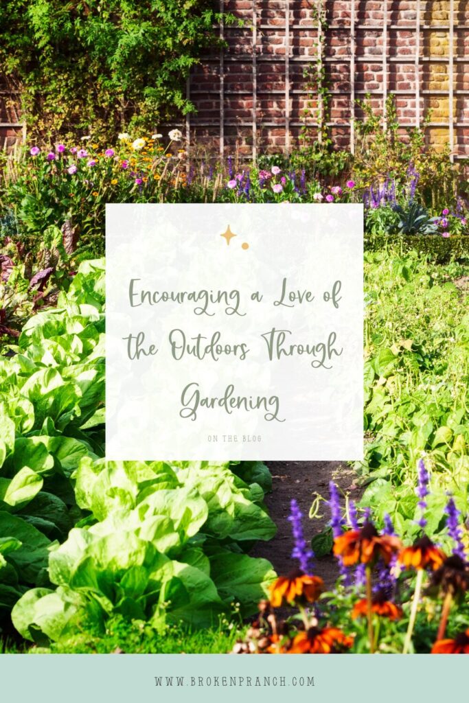 outdoors and gardening