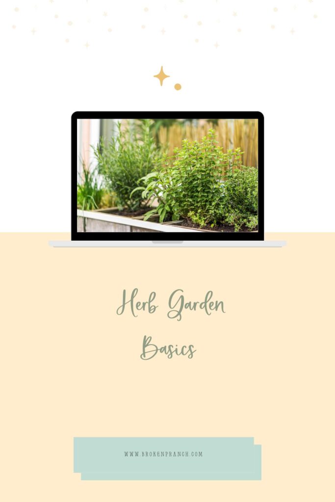 herb garden basics