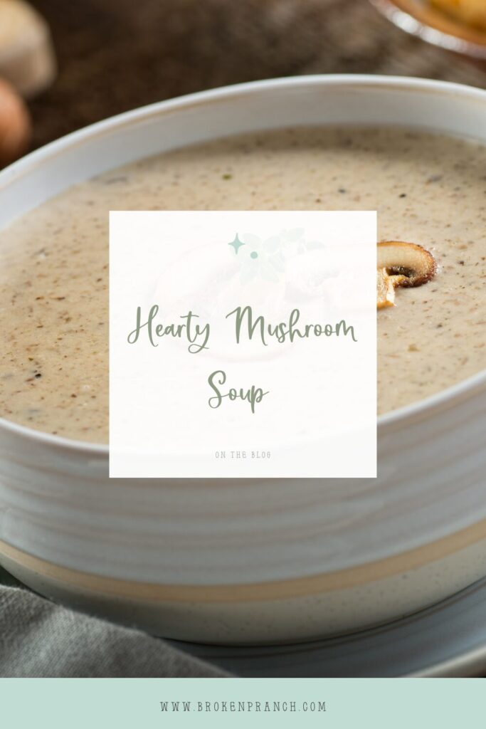 the best mushroom soup