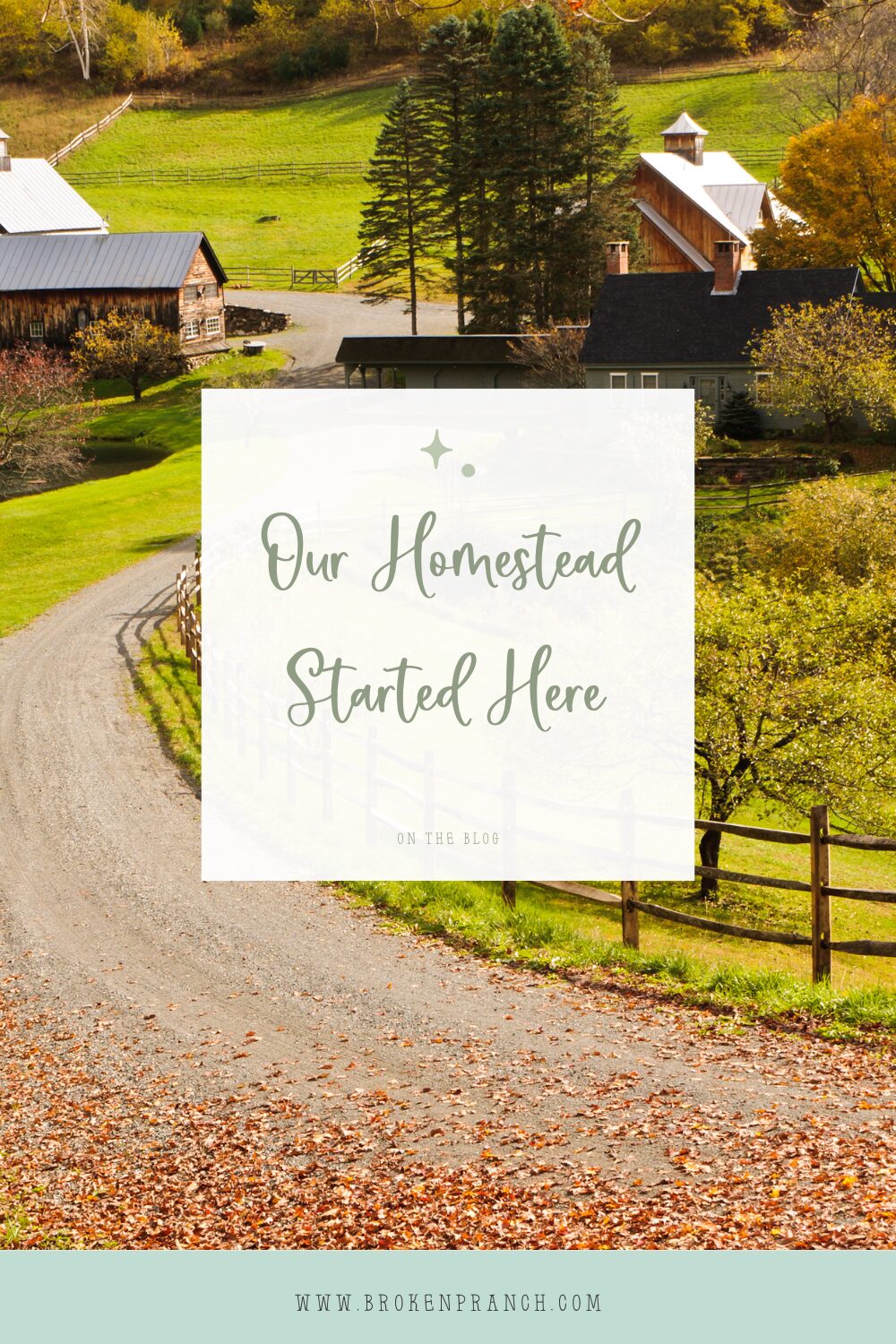 our homestead