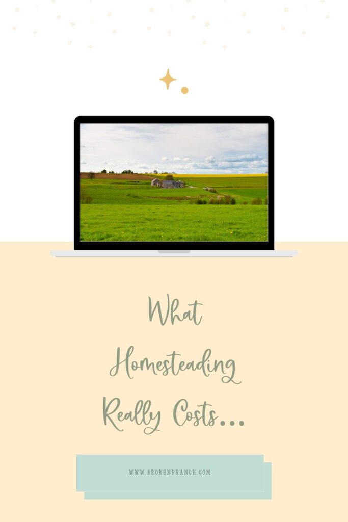 Homesteading Costs in Illinois: A Realistic Breakdown