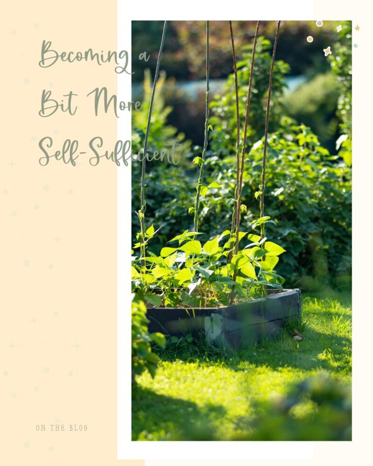 learning more self-sufficiency guide