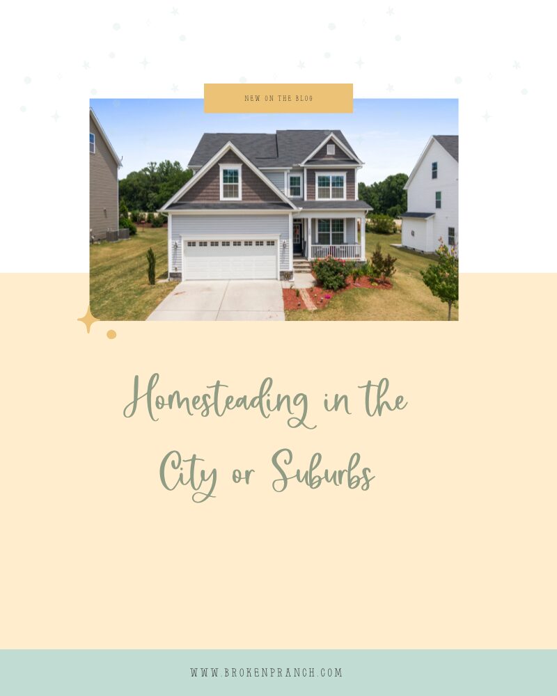 Homesteading in the city or suburbs