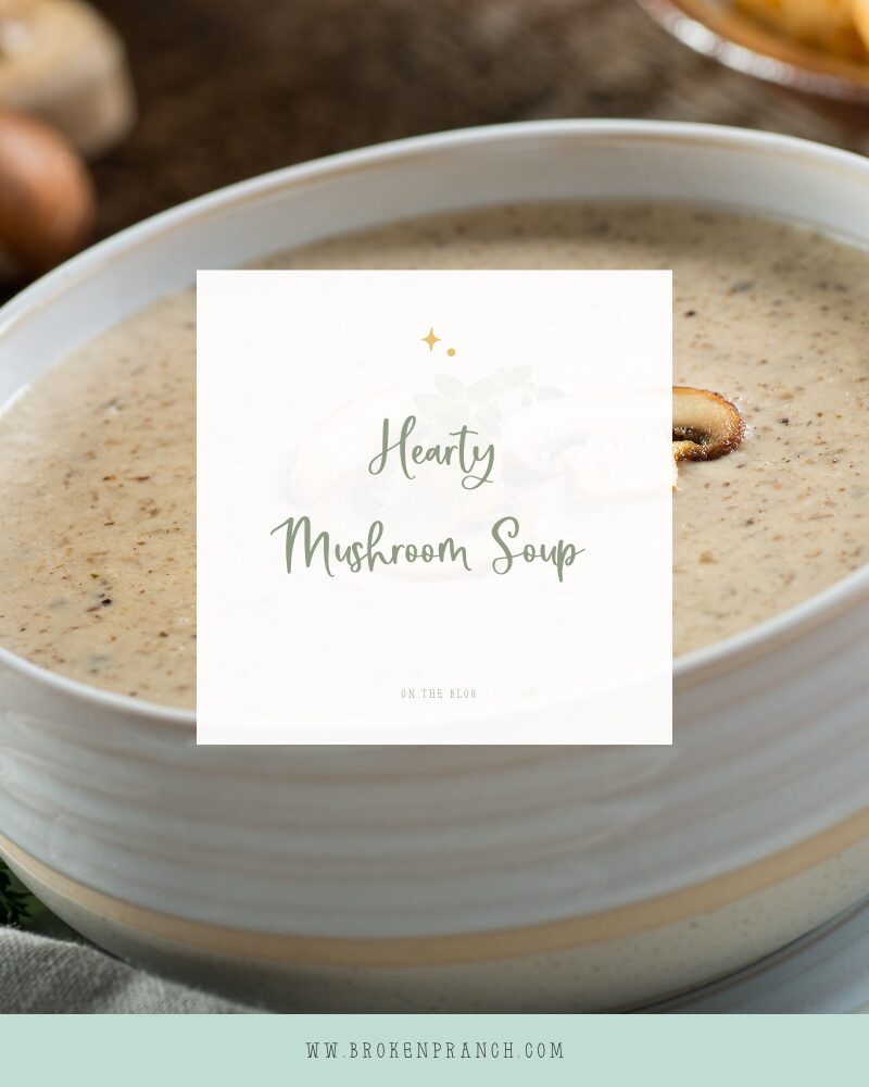 the best mushroom soup