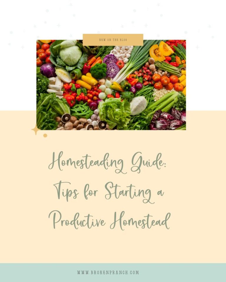 a homesteading guide with ways to get started and get back to the basics