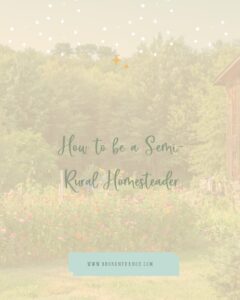 How to Be a Semi-Rural Homesteader