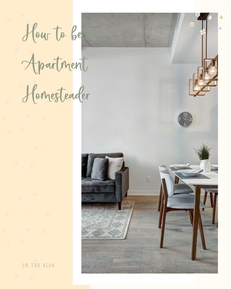 How to be an Apartment Homesteader and Learn About Apartment Homesteading