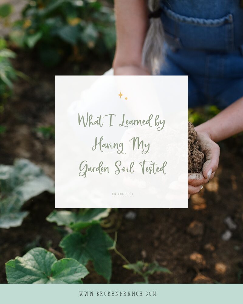 What I Learned by Having My Garden Soil Tested